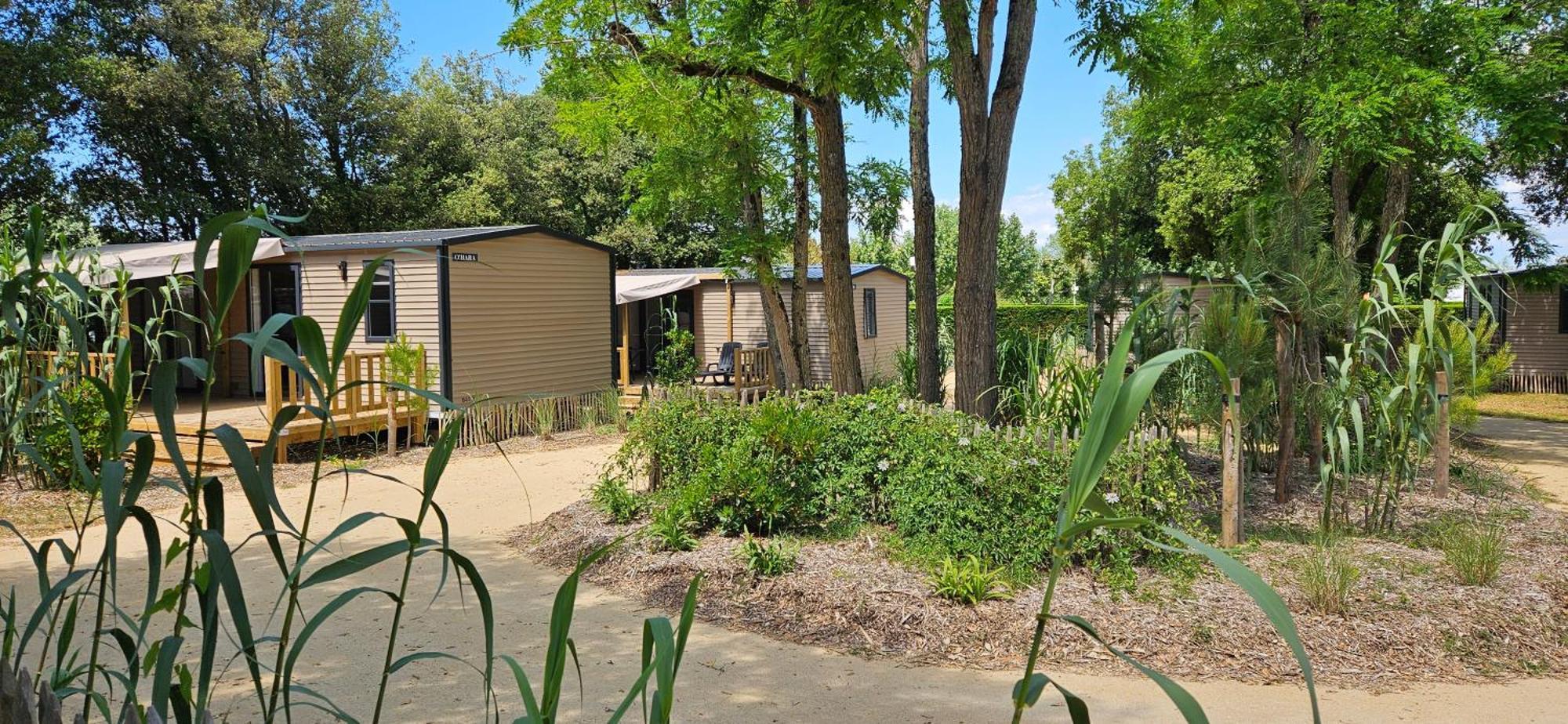Camping Le Bois Verdon Saint-Jean-de-Monts Dış mekan fotoğraf