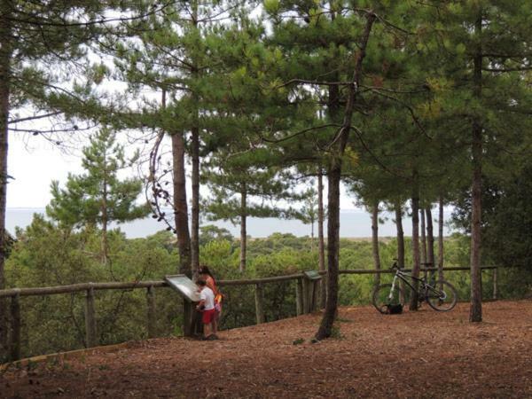 Camping Le Bois Verdon Saint-Jean-de-Monts Dış mekan fotoğraf